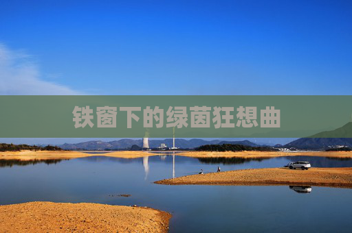 铁窗下的绿茵狂想曲