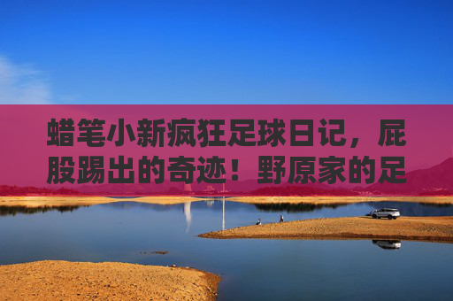 蜡笔小新疯狂足球日记,屁股踢出的奇迹!野原家的足球风暴