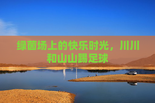 绿茵场上的快乐时光,川川和山山踢足球