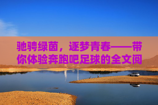 驰骋绿茵,逐梦青春——带你体验奔跑吧足球的全文阅读之旅