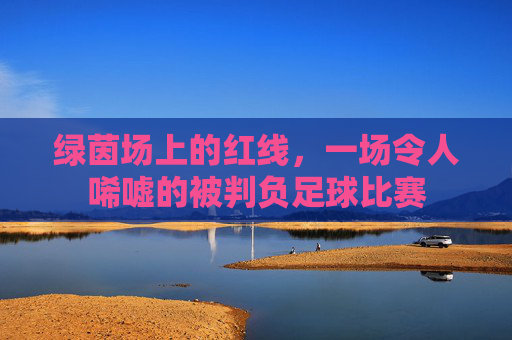 绿茵场上的红线,一场令人唏嘘的被判负足球比赛