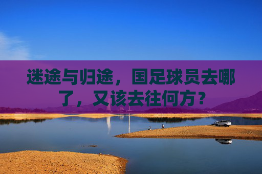 迷途与归途,国足球员去哪了,又该去往何方?