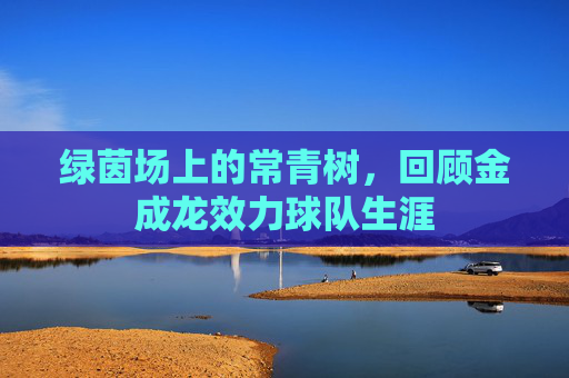 绿茵场上的常青树,回顾金成龙效力球队生涯