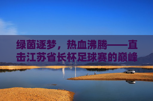 绿茵逐梦,热血沸腾——直击江苏省长杯足球赛的巅峰对决