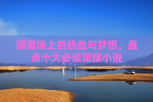 绿茵场上的热血与梦想,盘点十大必读足球小说