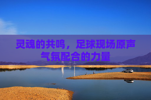 灵魂的共鸣,足球现场原声气氛配合的力量