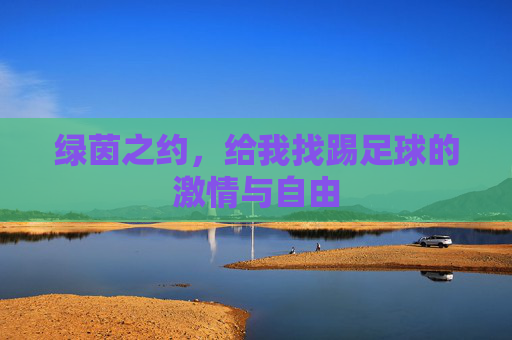 绿茵之约,给我找踢足球的激情与自由