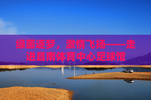绿茵逐梦,激情飞扬——走进昌南体育中心足球馆