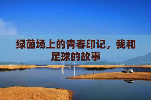 绿茵场上的青春印记,我和足球的故事