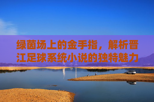 绿茵场上的金手指,解析晋江足球系统小说的独特魅力