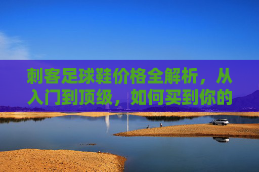 刺客足球鞋价格全解析,从入门到顶级,如何买到你的本命战靴?