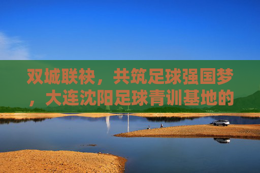 双城联袂,共筑足球强国梦,大连沈阳足球青训基地的崛起与未来
