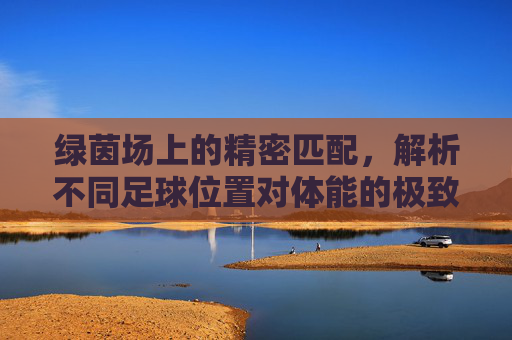 绿茵场上的精密匹配,解析不同足球位置对体能的极致要求