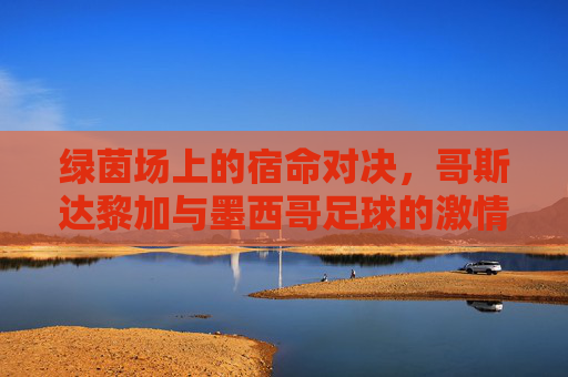 绿茵场上的宿命对决,哥斯达黎加与墨西哥足球的激情碰撞