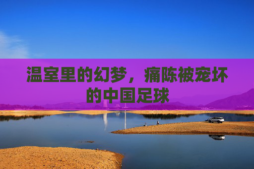 温室里的幻梦,痛陈被宠坏的中国足球