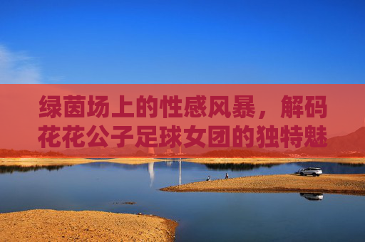 绿茵场上的性感风暴,解码花花公子足球女团的独特魅力