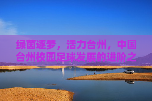 绿茵逐梦,活力台州,中国台州校园足球发展的进阶之路