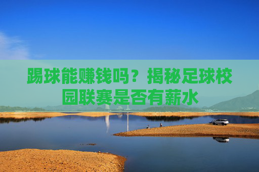 踢球能赚钱吗?揭秘足球校园联赛是否有薪水