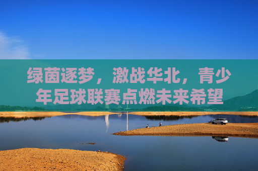 绿茵逐梦，激战华北，青少年足球联赛点燃未来希望