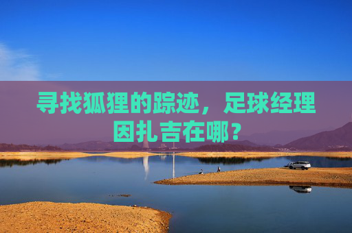 寻找狐狸的踪迹,足球经理因扎吉在哪?