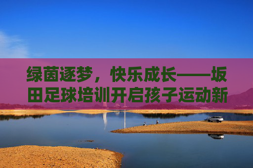 绿茵逐梦，快乐成长——坂田足球培训开启孩子运动新篇章