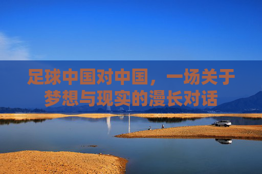 足球中国对中国,一场关于梦想与现实的漫长对话