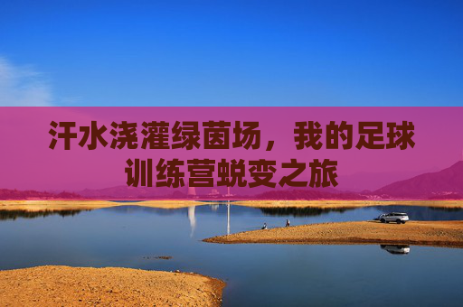 汗水浇灌绿茵场,我的足球训练营蜕变之旅