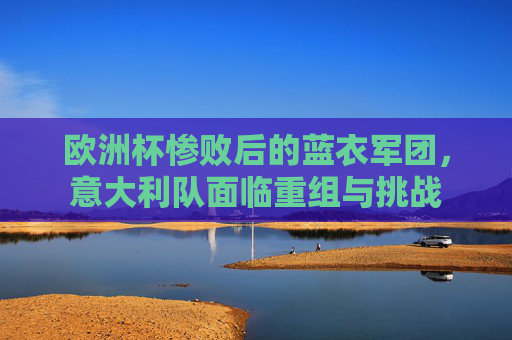 欧洲杯惨败后的蓝衣军团,意大利队面临重组与挑战