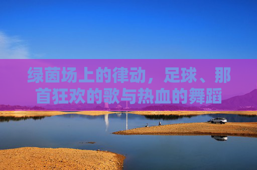 绿茵场上的律动,足球、那首狂欢的歌与热血的舞蹈
