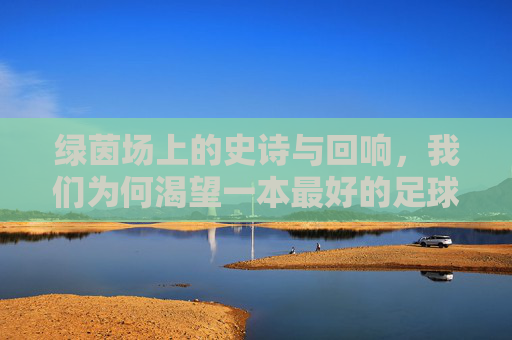 绿茵场上的史诗与回响,我们为何渴望一本最好的足球小说?