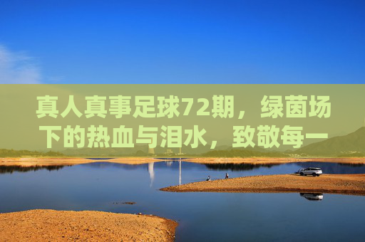 真人真事足球72期,绿茵场下的热血与泪水,致敬每一个追梦人