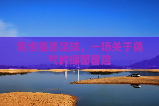 我也能踢足球,一场关于勇气的绿茵冒险