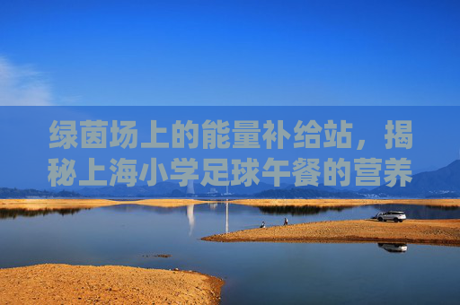 绿茵场上的能量补给站,揭秘上海小学足球午餐的营养密码