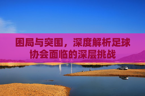 困局与突围,深度解析足球协会面临的深层挑战