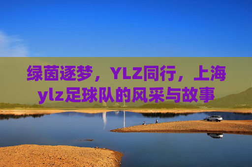 绿茵逐梦,YLZ同行,上海ylz足球队的风采与故事