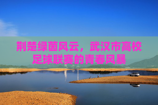 荆楚绿茵风云，武汉市高校足球联赛的青春风暴