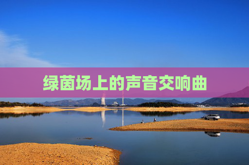 绿茵场上的声音交响曲