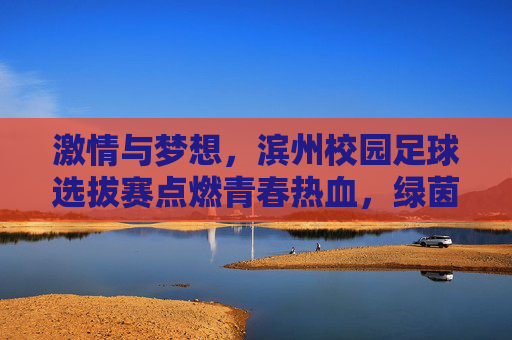 激情与梦想,滨州校园足球选拔赛点燃青春热血,绿茵场上展风采