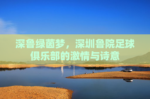 深鲁绿茵梦,深圳鲁院足球俱乐部的激情与诗意
