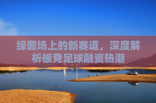 绿茵场上的新赛道，深度解析板凳足球融资热潮