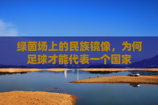 绿茵场上的民族镜像,为何足球才能代表一个国家