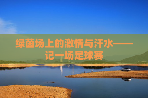 绿茵场上的激情与汗水——记一场足球赛