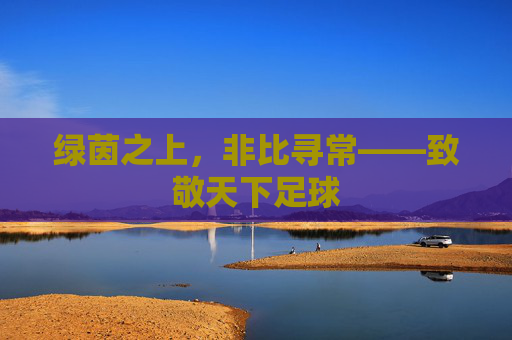 绿茵之上,非比寻常——致敬天下足球