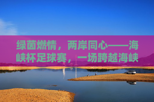 绿茵燃情,两岸同心——海峡杯足球赛,一场跨越海峡的足球盛宴