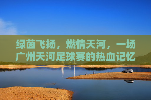 绿茵飞扬,燃情天河,一场广州天河足球赛的热血记忆