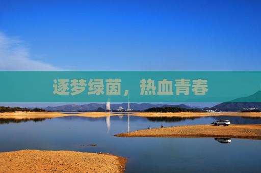 逐梦绿茵，热血青春