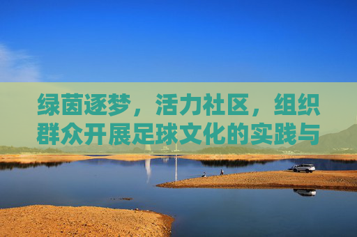 绿茵逐梦,活力社区,组织群众开展足球文化的实践与思考