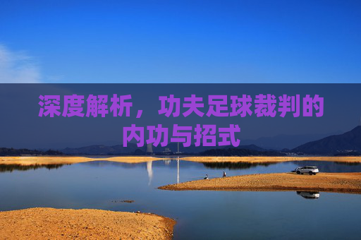 深度解析,功夫足球裁判的内功与招式