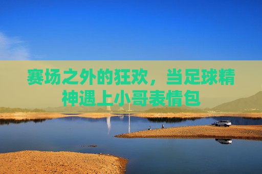 赛场之外的狂欢,当足球精神遇上小哥表情包