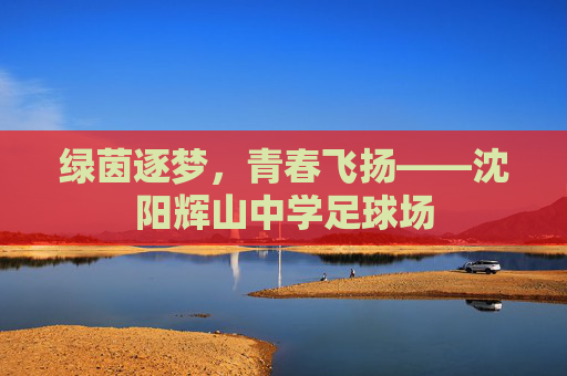 绿茵逐梦,青春飞扬——沈阳辉山中学足球场